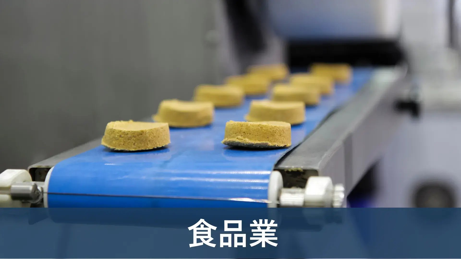 ERP導入実績 食品業-1