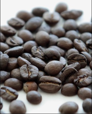 beans